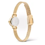 ساعت زنانه Daniel Wellington Petite Mini Evergold – مدل DW00100745