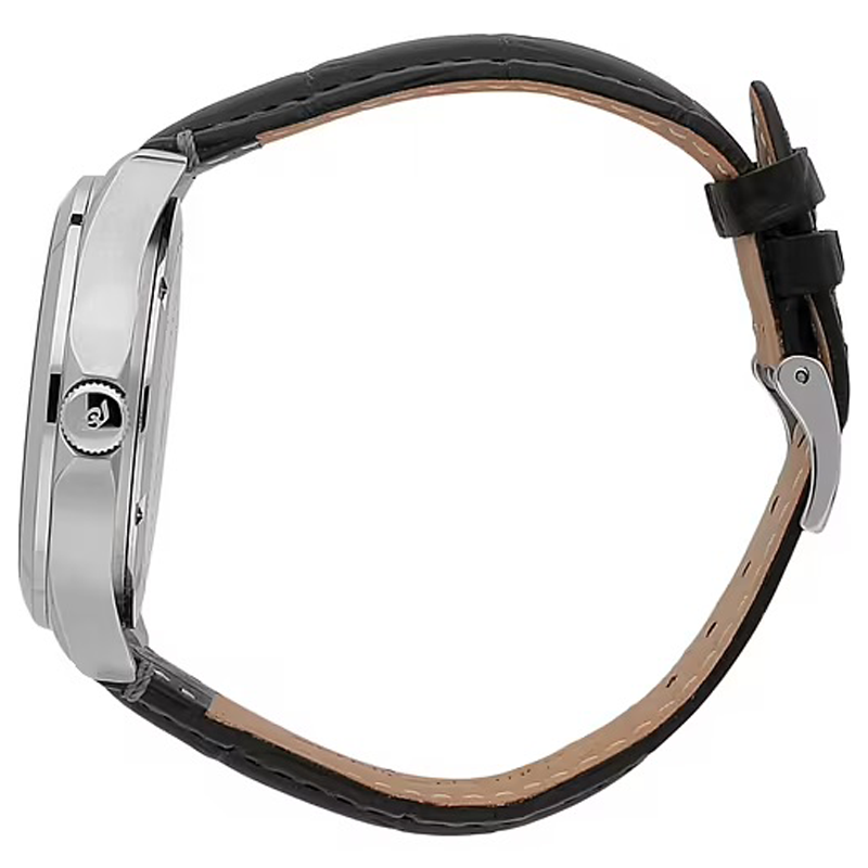 ساعت مردانه فیلیپ واچ Philip Watch مدل R8251165048