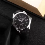 ساعت مردانه فیلیپ واچ Philip Watch مدل R8251165048
